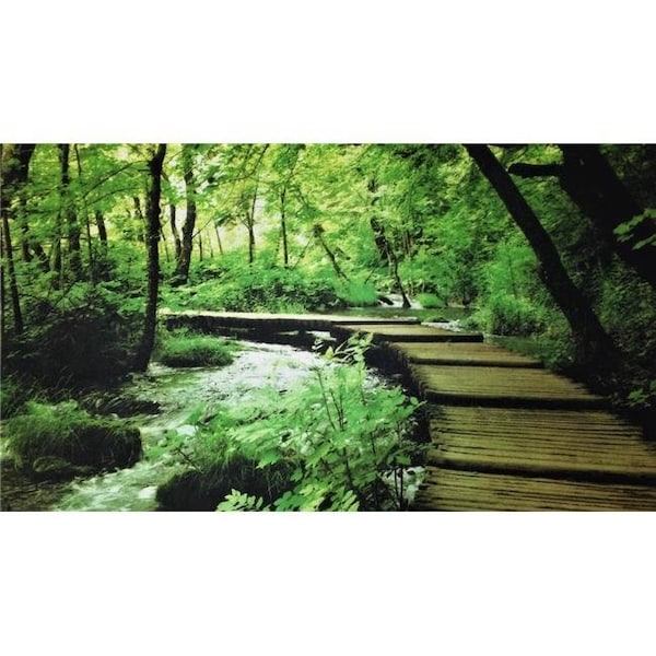Custom Printed Rugs Custom Printed Rugs DM 70 River Walk Non Slip Indoor Door Mat; 27 x 18 in. DM 70 - main